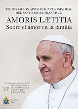 Resultado de imagen de amores laetitia